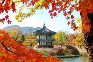 Kinh nghiệm du lịch Hàn Quốc tự túc